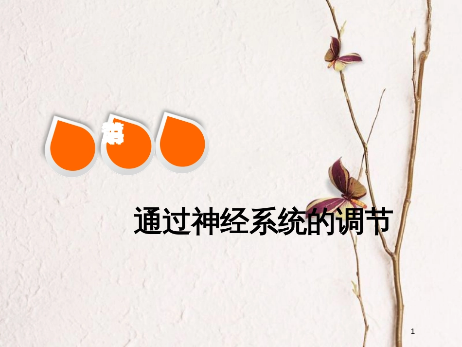 2019版高考生物一轮复习 第八单元 动物和人体生命活动的调节 第二讲 通过神经系统的调节精选课件_第1页