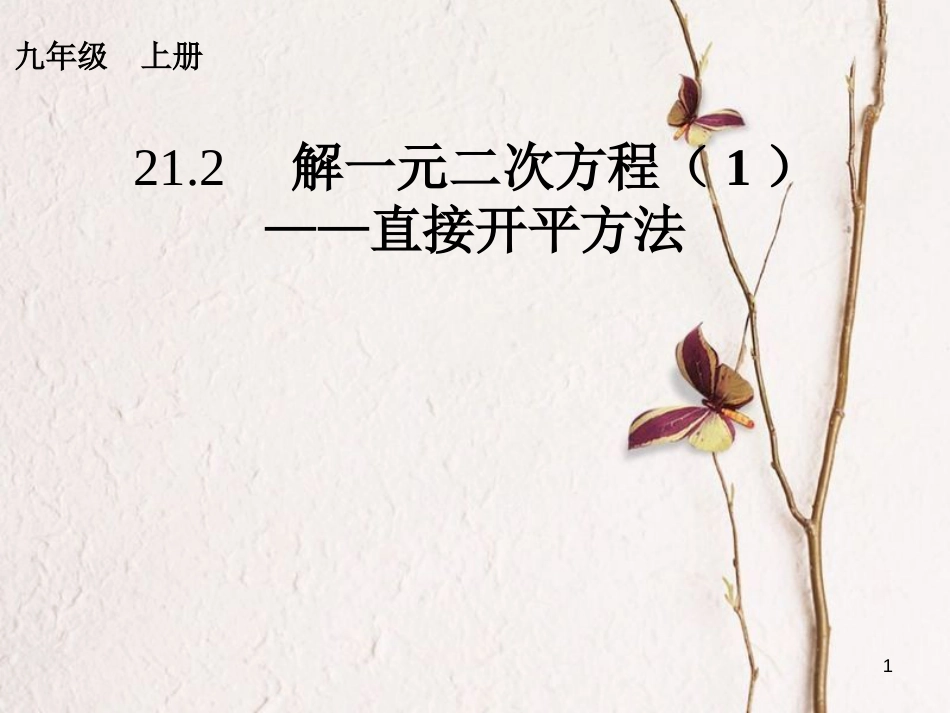 内蒙古鄂尔多斯市康巴什新区九年级数学上册 第21章 一元二次方程 21.2 解一元二次方程（1）—直接开平方法课件 （新版）新人教版_第1页