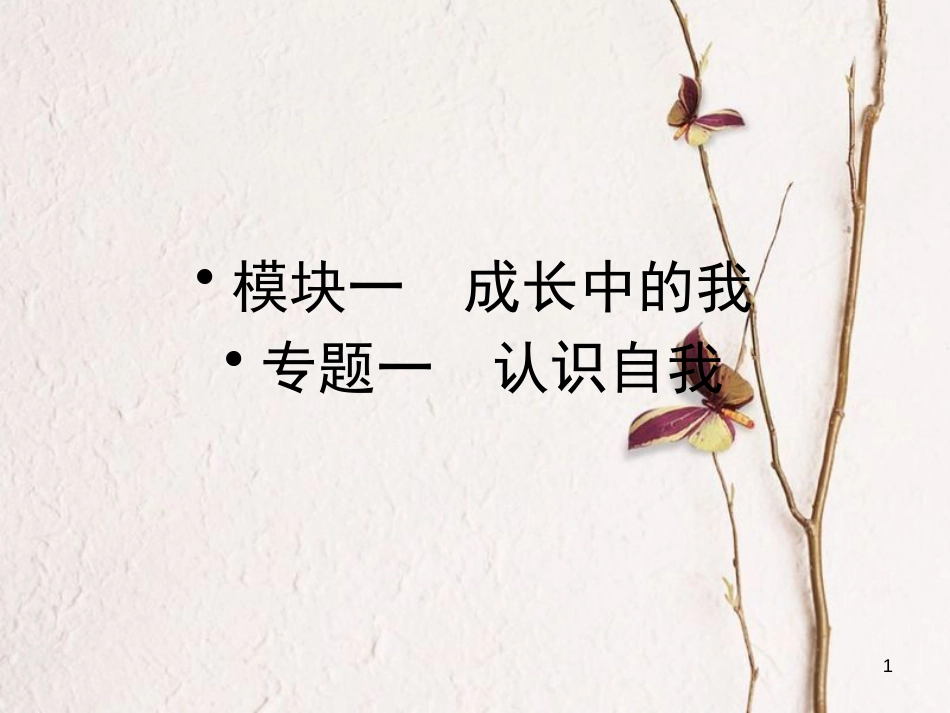 云南省中考政治 考点复习专题一 认识自我课件_第1页