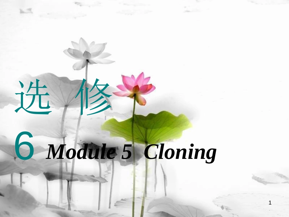 高考英语一轮复习 Module 5 Cloning课件 外研版选修6_第1页