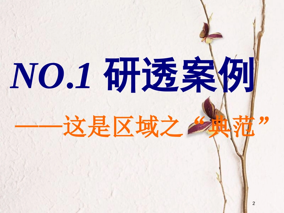 2019版高考地理一轮复习 第三部分 第二章 区域可持续发展 第五讲 中国江苏省工业化和城市化的探索精选课件_第2页