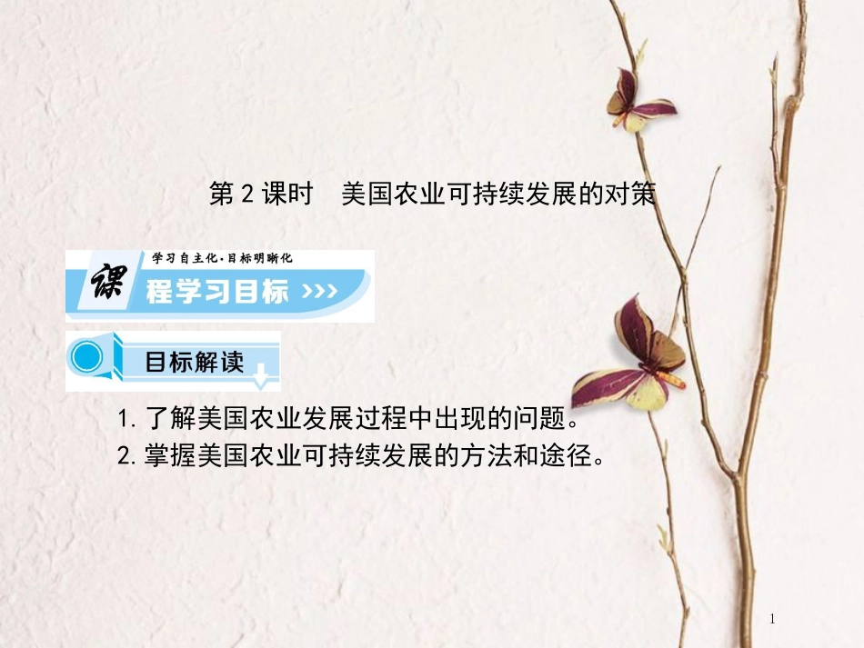高中地理 第二章 区域可持续发展 第四节 区域农业的可持续发展—以美国为例（课时2）课件 湘教版必修3_第1页