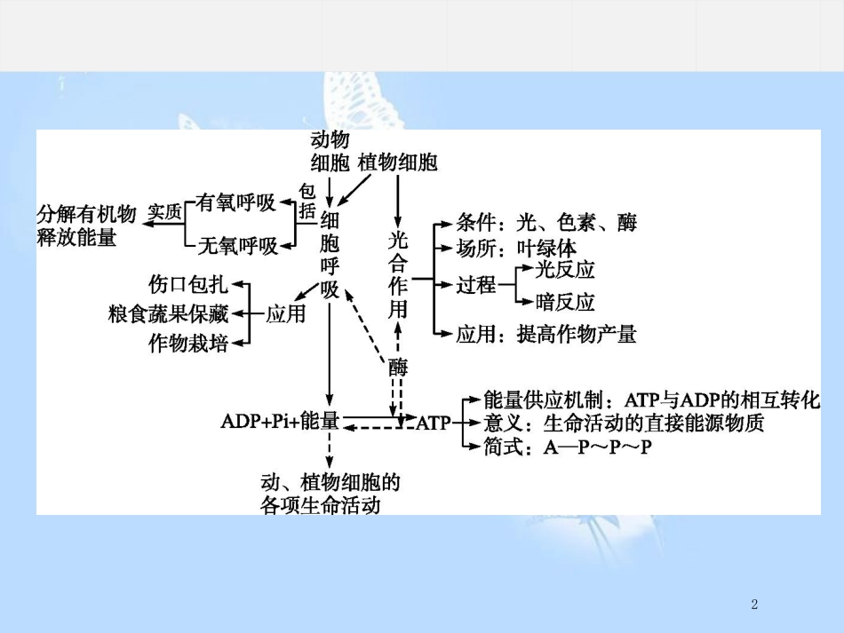 高中生物 第四章 光合作用和细胞呼吸本章整合课件 苏教版必修1_第2页