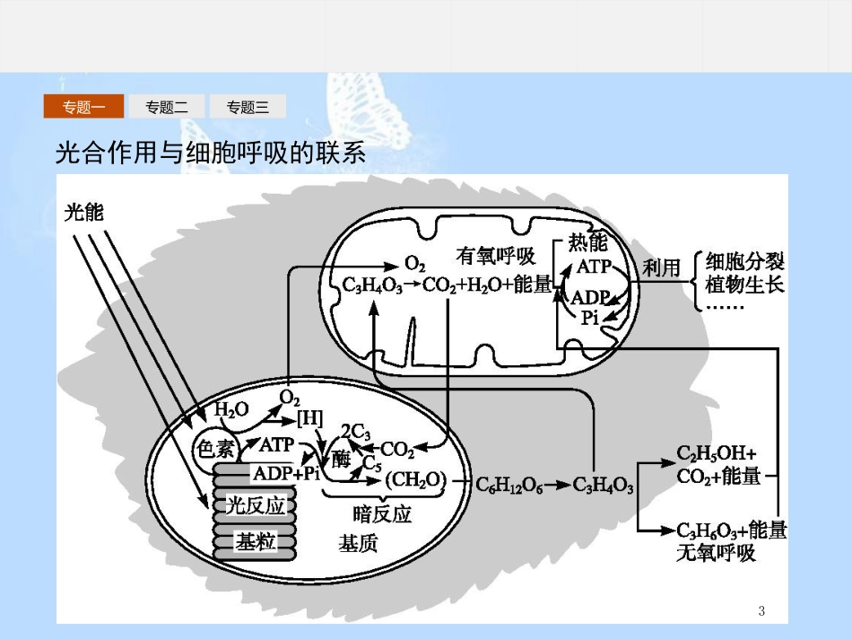 高中生物 第四章 光合作用和细胞呼吸本章整合课件 苏教版必修1_第3页