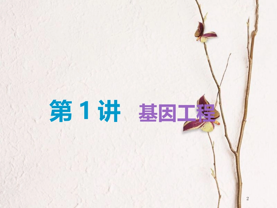 （全国通用版）2019版高考生物一轮复习 选考部分 现代生物科技专题 第1讲 基因工程精准备考实用课件_第2页
