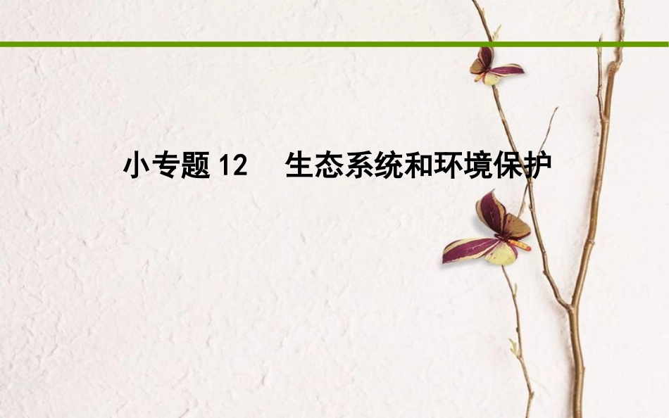 高考生物二轮复习 小专题12 生态系统和环境保护课件_第1页