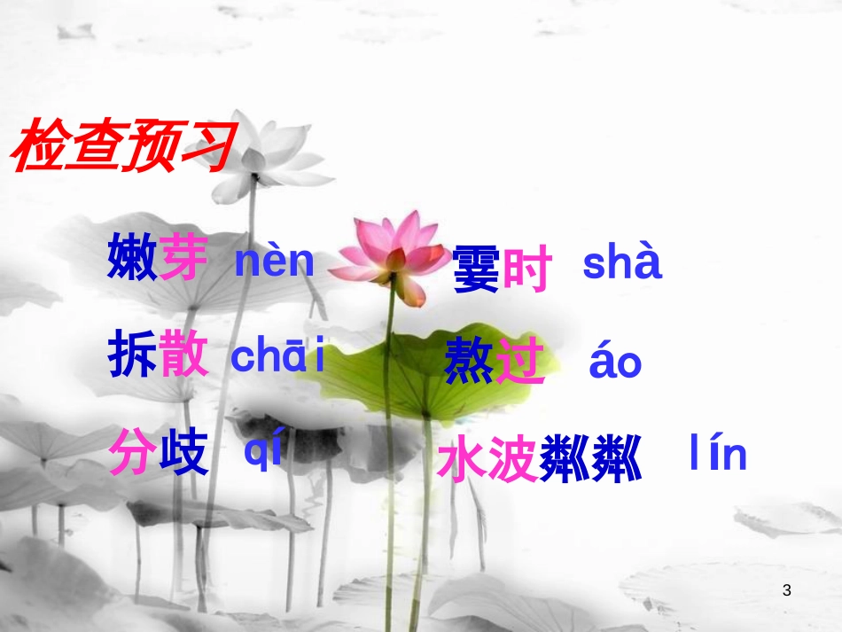 七年级语文上册 第二单元 6《散步》课件 新人教版_第3页