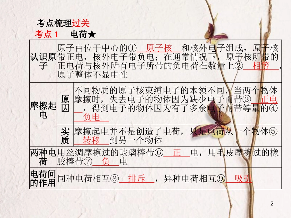 安徽省中考物理一轮复习 第十三章 电流、电路 、电压 、电阻课件_第2页