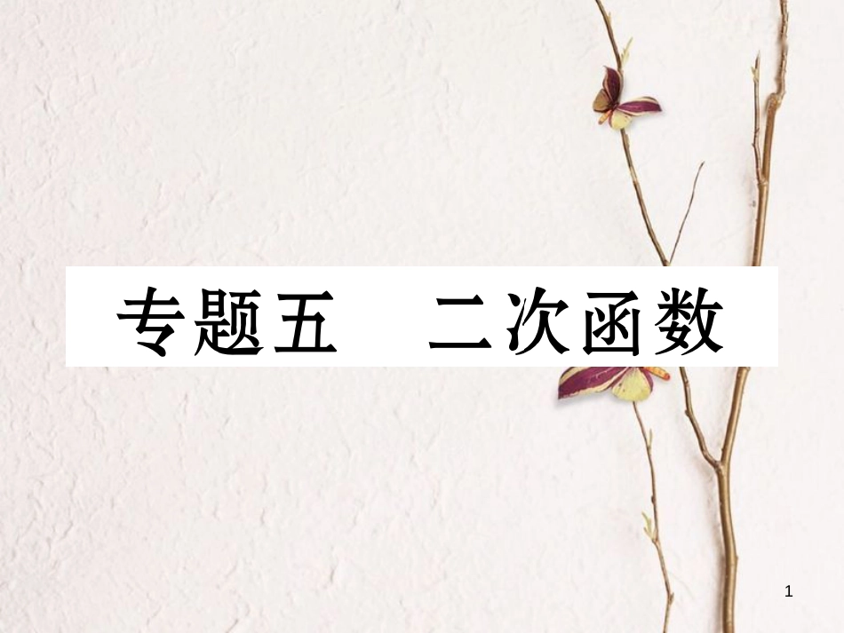 九年级数学下册 专题5 二次函数作业课件 （新版）湘教版_第1页