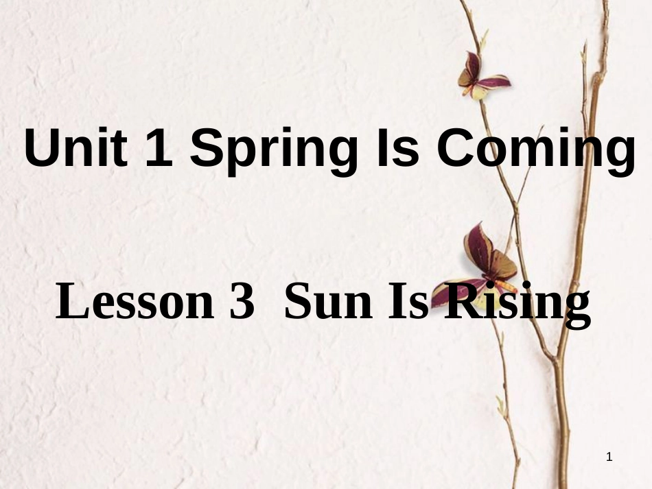 八年级英语下册 Unit 1 Spring Is Coming Lesson 3 The Sun is Rising课件 （新版）冀教版_第1页