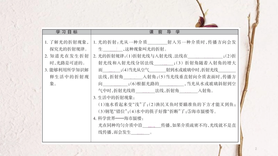 广西省钦州市钦北区八年级物理上册 4.4 光的折射课件 （新版）新人教版_第2页