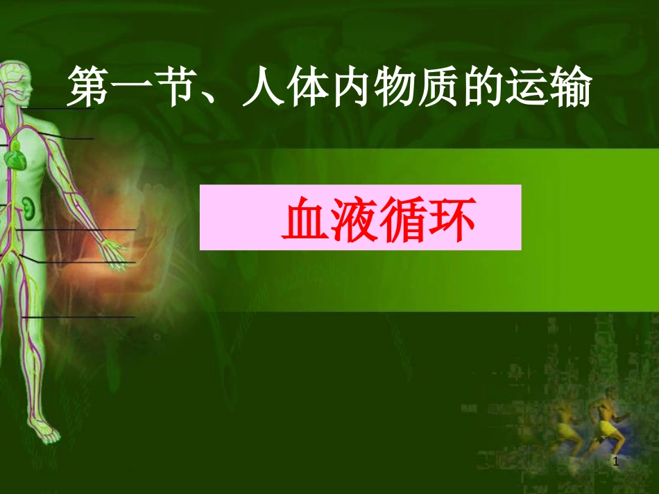 学年八年级生物上册 15.1 人体内物质的运输 血液循环课件 苏科版_第1页