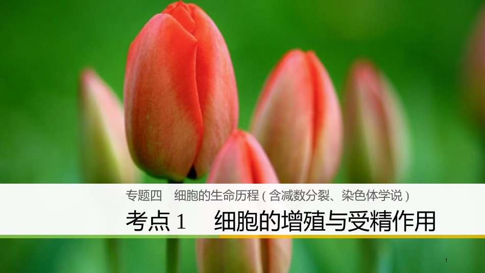 （浙江选考）高三生物二轮专题复习 专题四 细胞的生命历程（含减数分裂、染色体学说）考点1 细胞的增殖与受精作用课件 新人教版_第1页