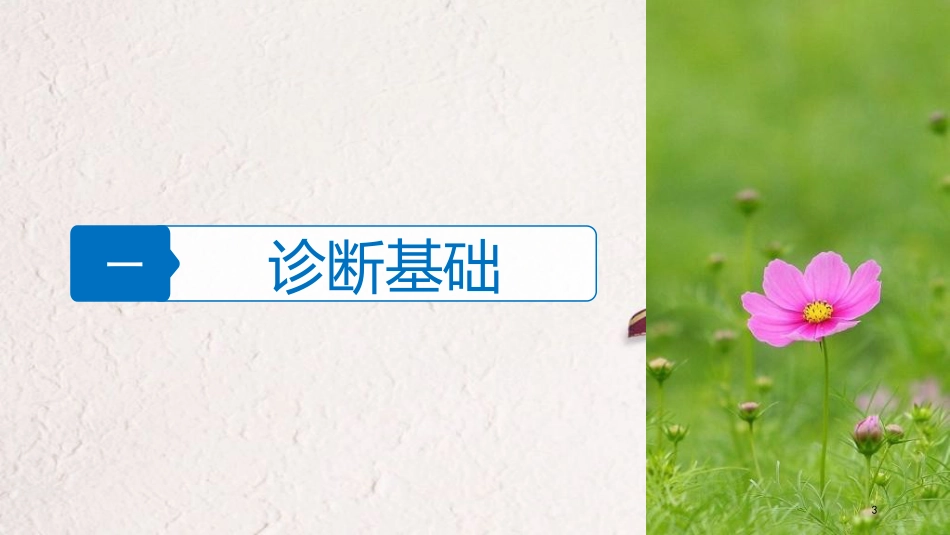 （浙江选考）高三生物二轮专题复习 专题四 细胞的生命历程（含减数分裂、染色体学说）考点1 细胞的增殖与受精作用课件 新人教版_第3页