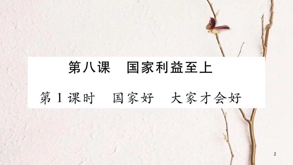 八年级道德与法治上册 第四单元 维护国家利益 第八课 国家利益至上习题课件 新人教版_第2页