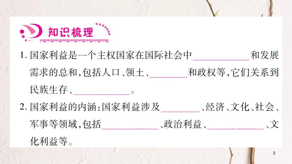 八年级道德与法治上册 第四单元 维护国家利益 第八课 国家利益至上习题课件 新人教版_第3页