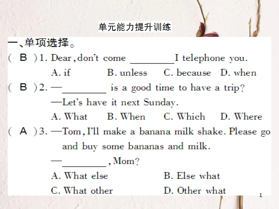 （通用版）八年级英语上册 Unit 10 If you go to the party  you’ll have a great time能力提升训练课件 （新版）人教新目标版_第1页