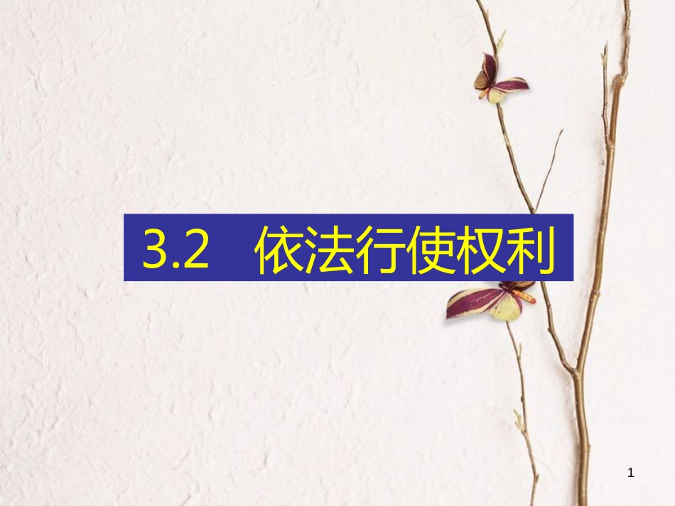 八年级道德与法治下册 第二单元 理解权利义务 第三课 公民权利 第2框 依法行使权利习题课件 新人教版_第1页