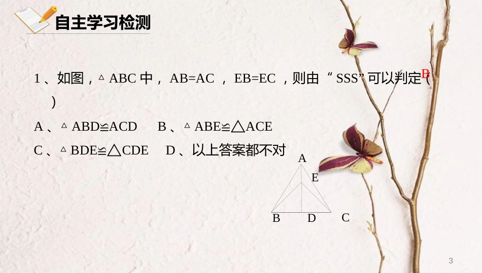 八年级数学上册 第十二章 三角形 12.5 全等三角形的判定 12.5.2 全等三角形的判定课件 北京课改版_第3页