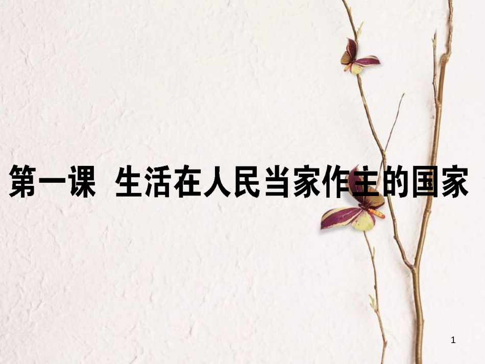 2019年高考政治一轮复习 第一单元 公民的政治生活 1 生活在人民当家作主的国家课件 新人教版必修2_第1页
