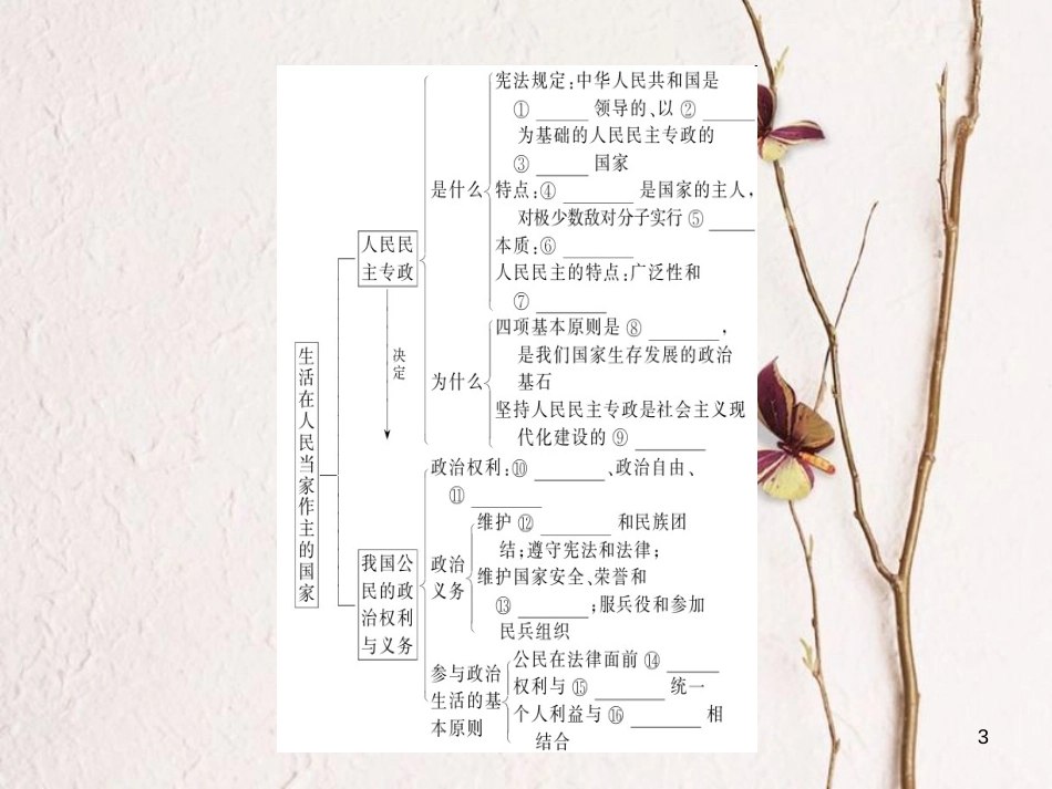 2019年高考政治一轮复习 第一单元 公民的政治生活 1 生活在人民当家作主的国家课件 新人教版必修2_第3页