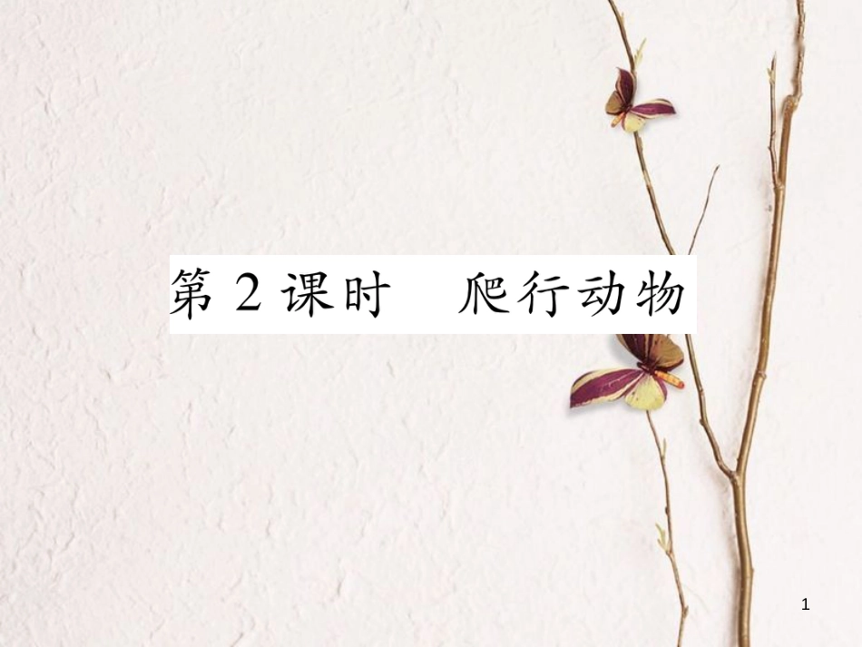 八年级生物上册 第五单元 第1章 第五节 两栖动物和爬行（第2课时 爬行动物）课件 （新版）新人教版_第1页