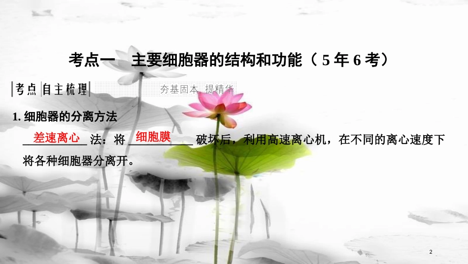 届高考生物一轮复习 第二单元 细胞的基本结构与物质运输 第6讲 细胞器与生物膜系统课件_第2页