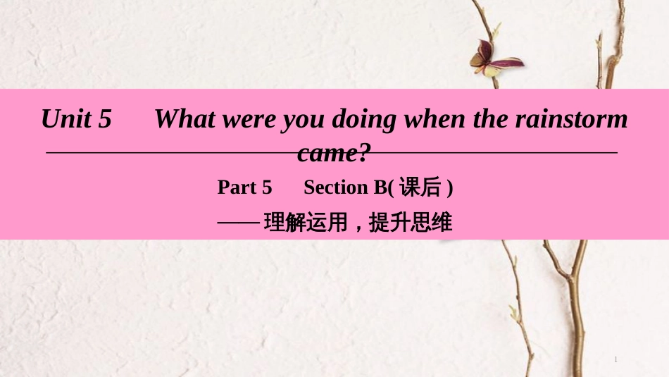 学年八年级英语下册 Unit 5 What were you doing when the rainstorm came Part 5 Section B（课后）课件 （新版）人教新目标版_第1页