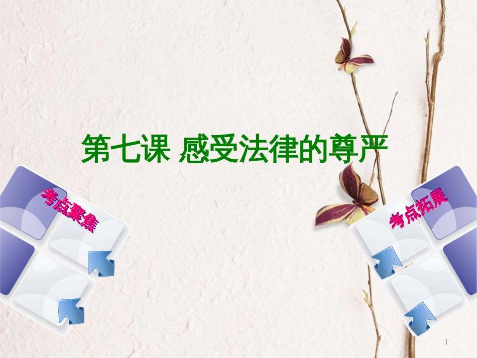 （呼和浩特专版）中考政治复习方案 第一部分 七下 第七课 感受法律的尊严课件_第1页