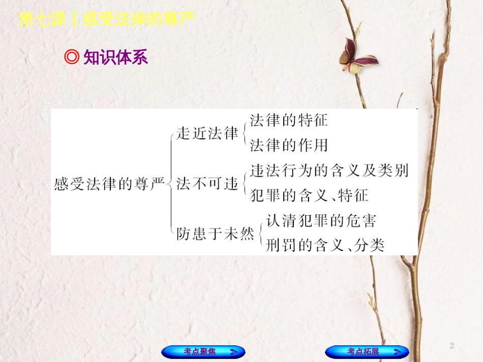 （呼和浩特专版）中考政治复习方案 第一部分 七下 第七课 感受法律的尊严课件_第2页