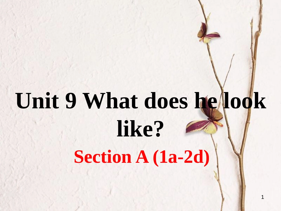 （安徽专版）七年级英语下册 Unit 9 What does he look like Section A（第1课时）教学课件 （新版）人教新目标版_第1页