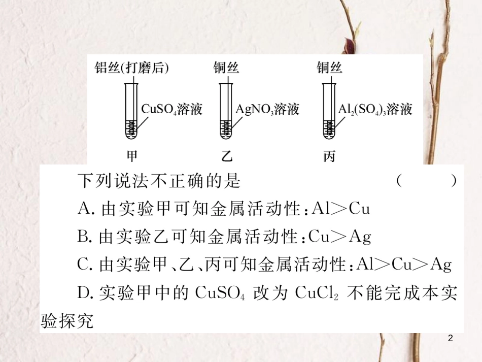 （青海专版）中考化学复习 第1编 教材知识梳理篇 第8单元 金属和金属材料 课时2 金属的化学性质中考重难点突破（精讲）课件_第2页