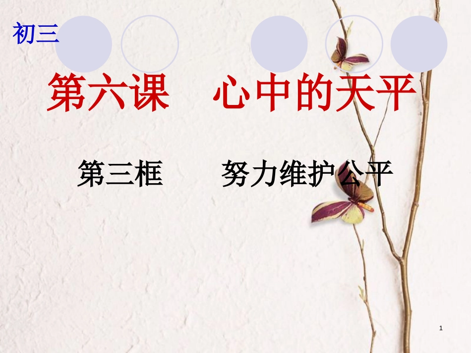 云南省个旧市九年级政治全册 第二单元 共同生活 第六课 心中的天平 第3框 努力维护公平课件 人民版_第1页