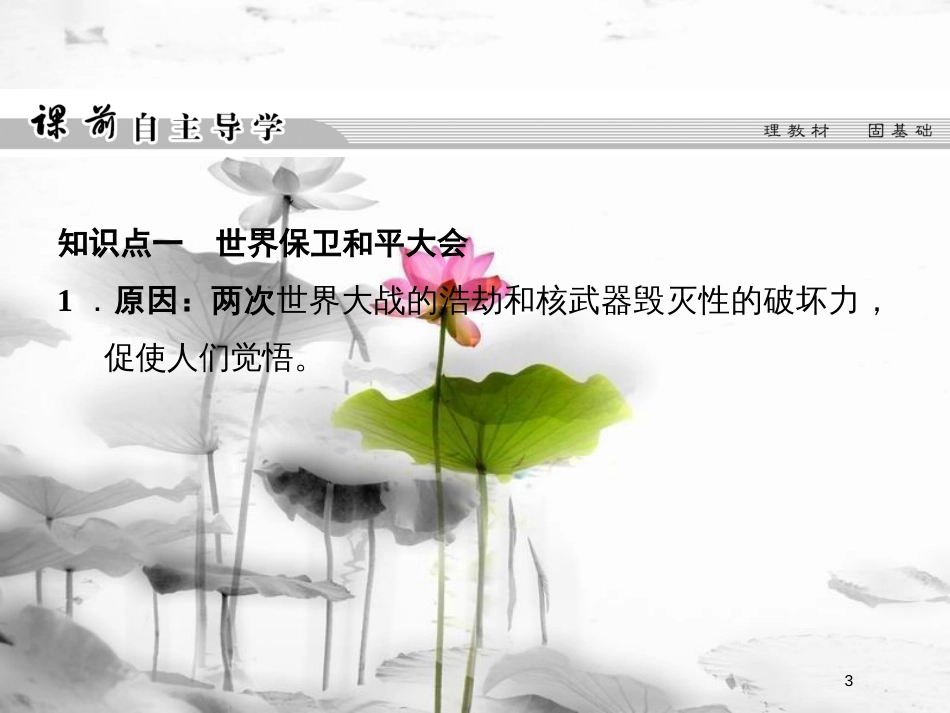 高中历史 第六单元 和平与发展 6-2 世界人民的反战和平运动课件 新人教版选修3_第3页