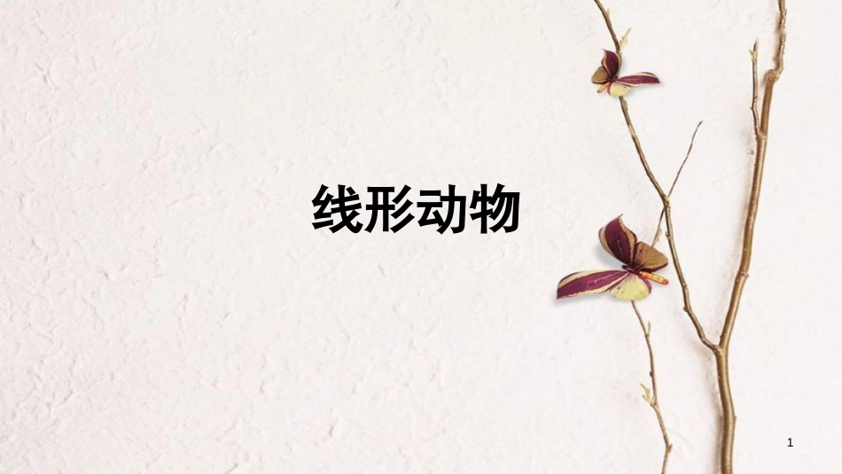 八年级生物上册 第五单元 第一章 第二节 线形动物和环节动物《线形动物》课件 （新版）新人教版_第1页