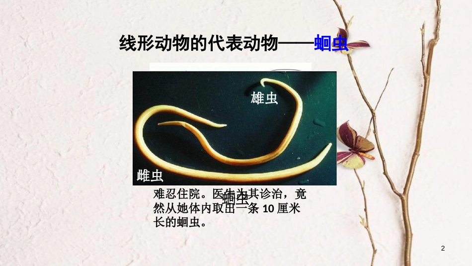 八年级生物上册 第五单元 第一章 第二节 线形动物和环节动物《线形动物》课件 （新版）新人教版_第2页