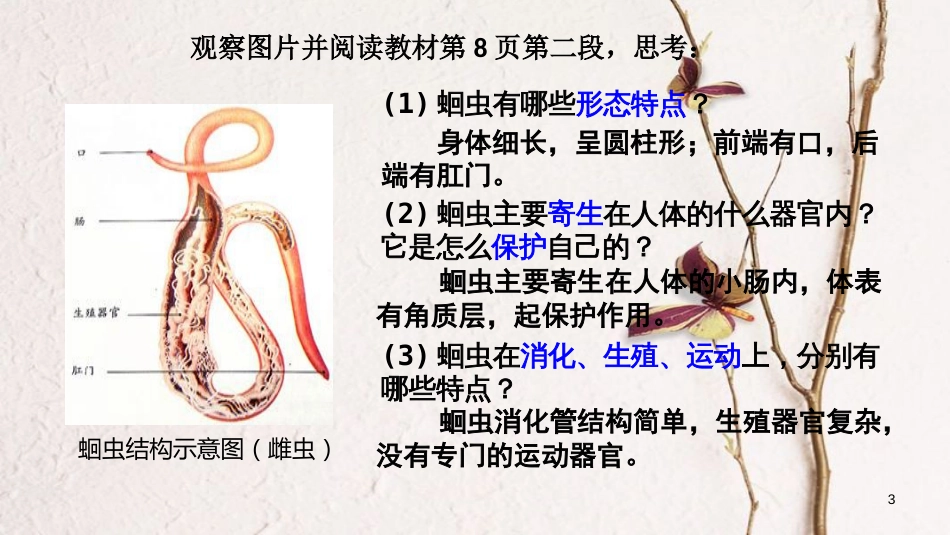 八年级生物上册 第五单元 第一章 第二节 线形动物和环节动物《线形动物》课件 （新版）新人教版_第3页