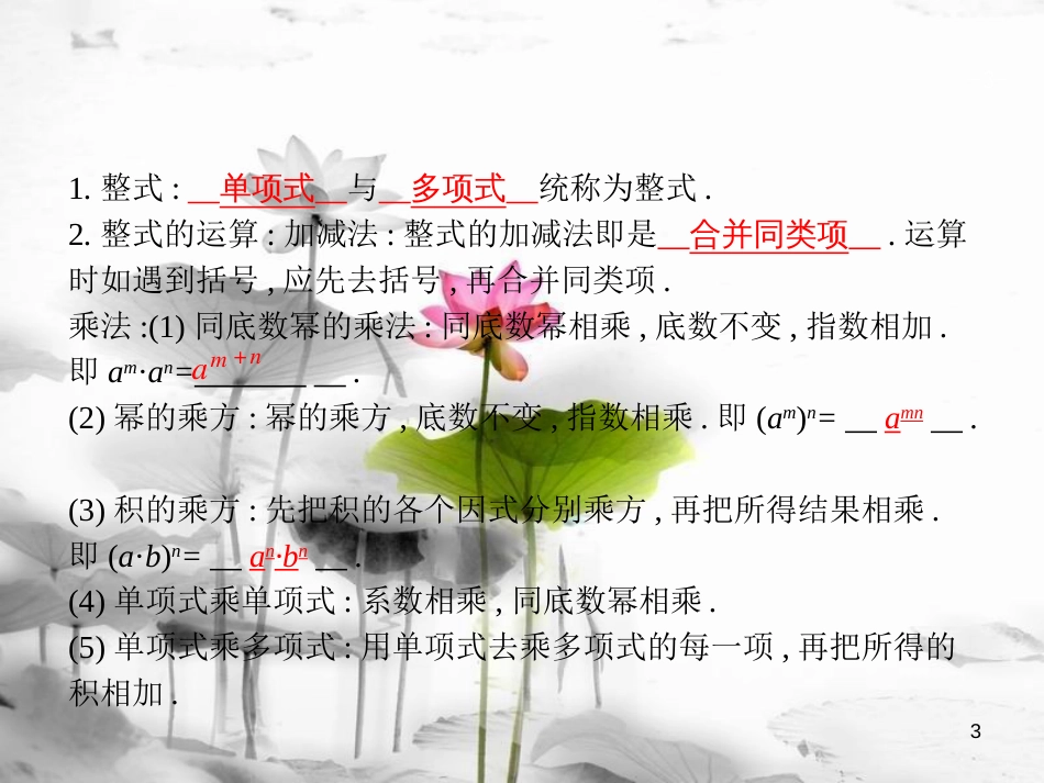 届中考数学复习 第一部分 数与代数 第三课时 整式课件_第3页