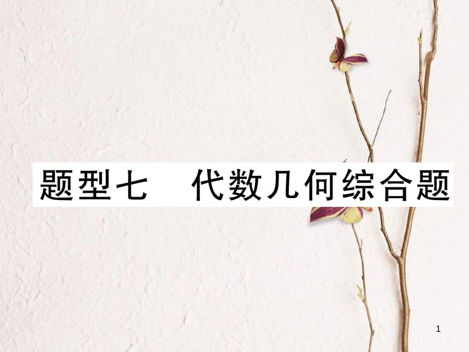 （青海专版）中考数学复习 第2编 专题突破篇 题型7 代数几何综合题（精讲）课件_第1页