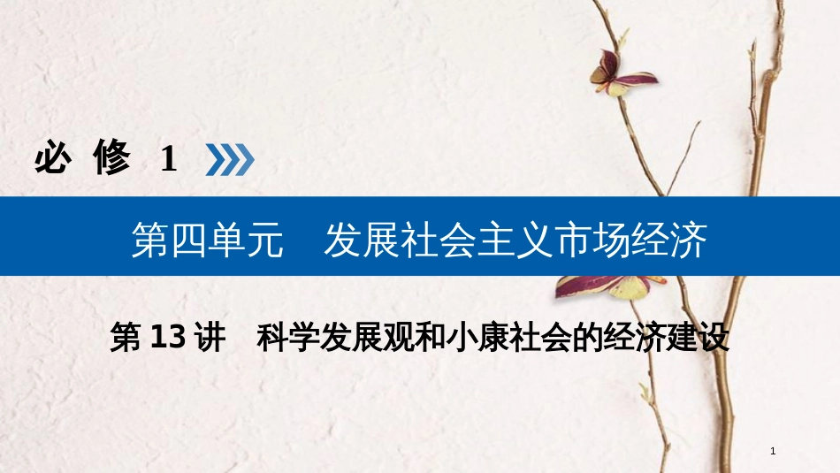 （全国通用版）2019版高考政治一轮复习 第四单元 发展社会主义市场经济 第13讲 科学发展观和小康社会的经济建设课件_第1页