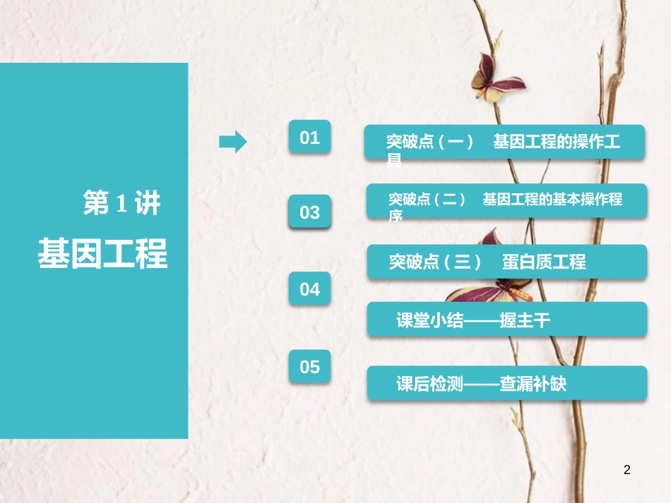 （全国通用版）2019版高考生物一轮复习 选考部分 现代生物科技专题 第1讲 基因工程课件_第2页