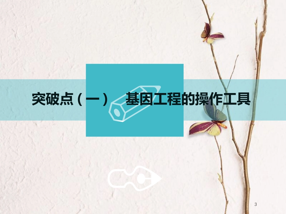 （全国通用版）2019版高考生物一轮复习 选考部分 现代生物科技专题 第1讲 基因工程课件_第3页