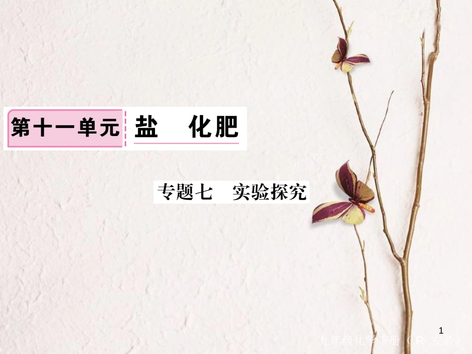 （安徽专版）九年级化学下册 专题七 实验探究练习课件 （新版）新人教版_第1页