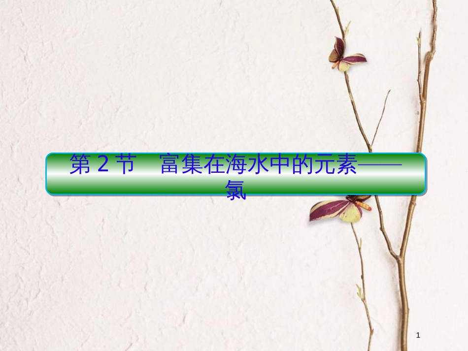 2019届高考化学一轮复习 第四章 非金属及其化合物 第2节 富集在海水中的元素——氯课件_第1页