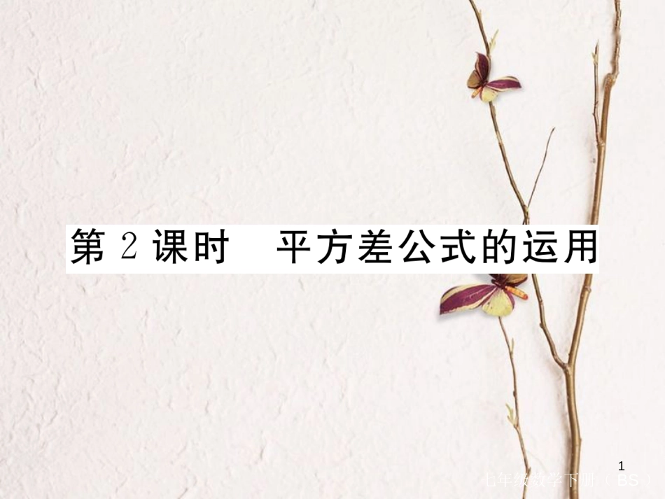 七年级数学下册 第一章 整式的乘除 1.5 平方差公式 第2课时 平方差公式的运用练习课件 （新版）北师大版_第1页