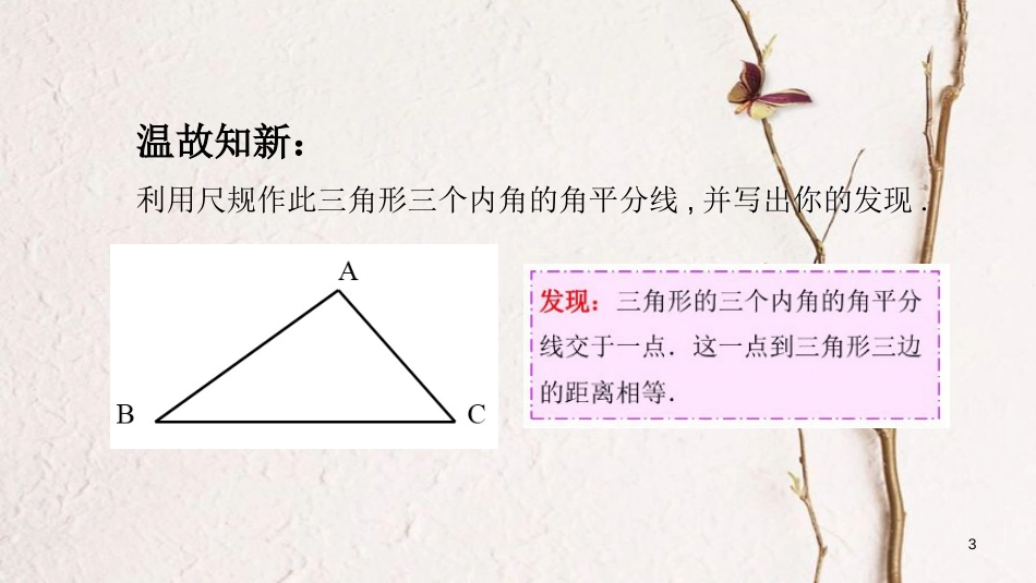 广东省河源市江东新区八年级数学下册 第一章 三角形的证明 1.4 角平分线（2）课件 （新版）北师大版_第3页