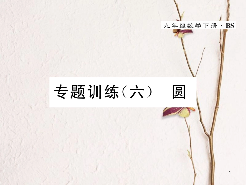九年级数学下册 专题训练6 圆作业课件 （新版）北师大版_第1页