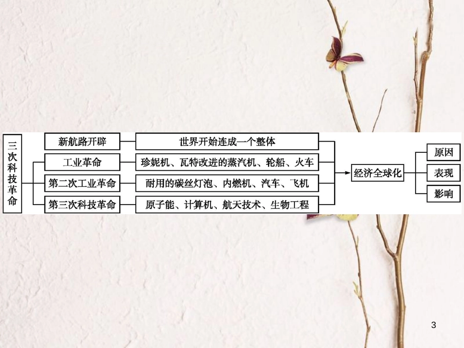 中考历史 单元专题八 三次科技革命与经济全球化课件_第3页