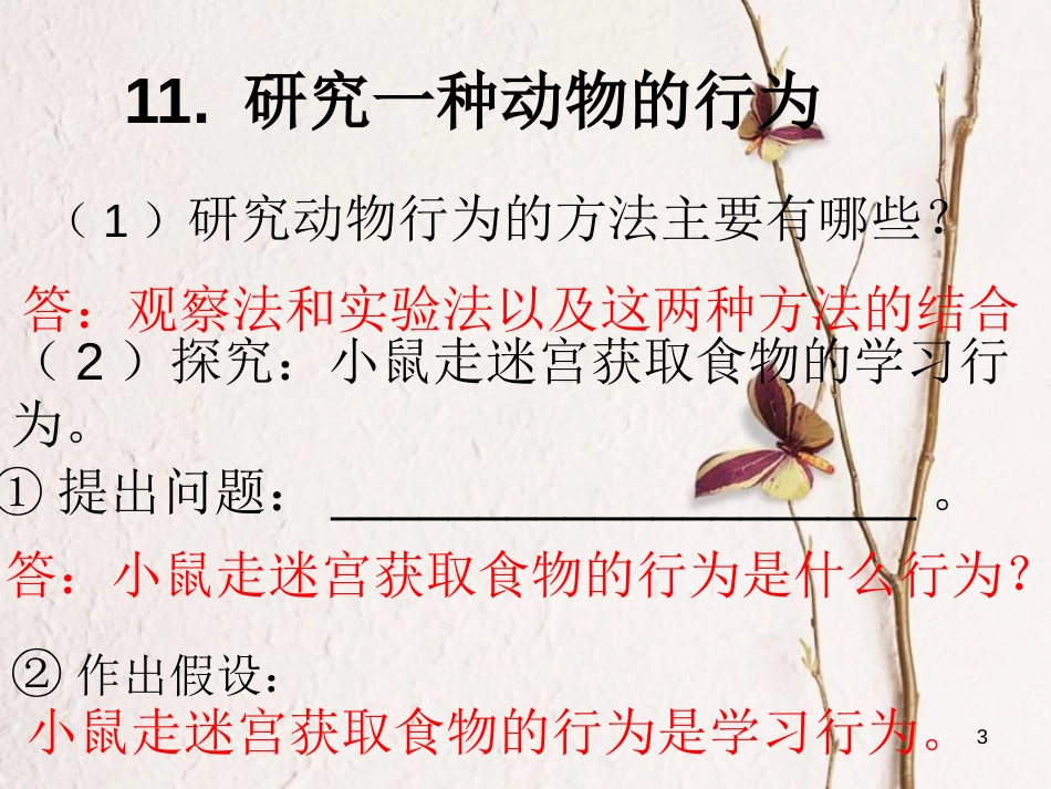 八年级生物上册 5.2 动物的运动和行为复习课件 （新版）新人教版_第3页