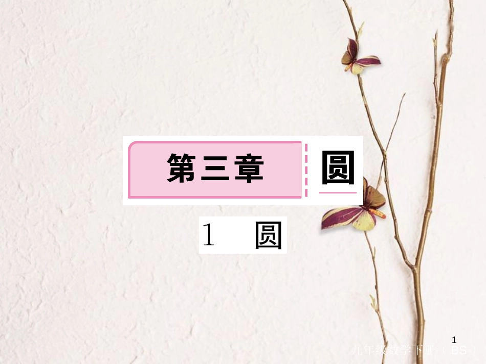 年九年级数学下册 第三章 圆 3.1 圆练习课件 （新版）北师大版_第1页